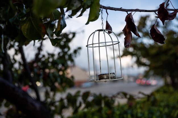 Co ile strzemiona w wieńcu powinny być rozmieszczone?
