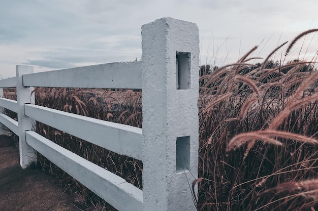 Ile kosztuje jedno przęsło betonowe i od czego zależy cena?
