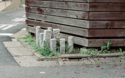 Ile kosztuje postawienie płotu betonowego i od czego to zależy?
