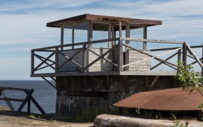 Ile stali potrzeba na dom 70m2?