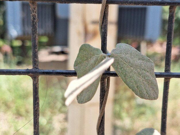 Jakie strzemiona do wieńca 25x25 będą odpowiednie?