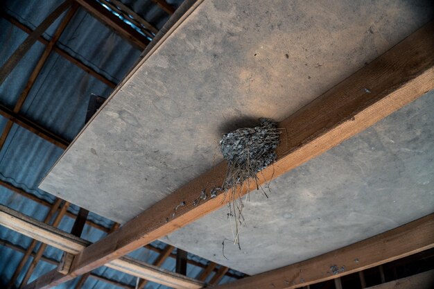 Strop żelbetowy czy teriva – którą opcję wybrać przy budowie domu?