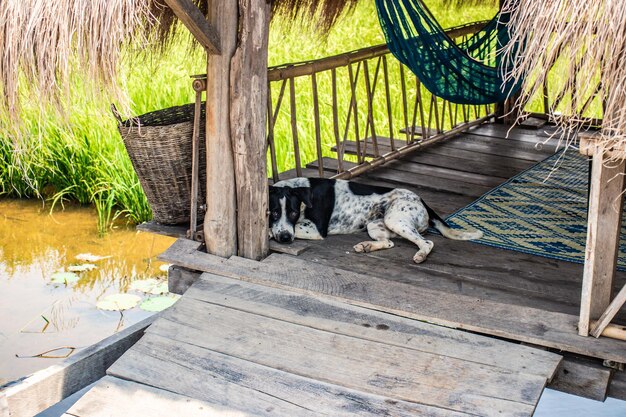 Co ile krokwie na altanie warto rozplanować?