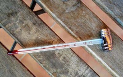 Ile kosztuje metr sześcienny drewna na dach?