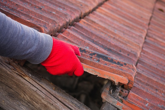 Belka dachowa jak uraz przy palcu co warto wiedzieć?