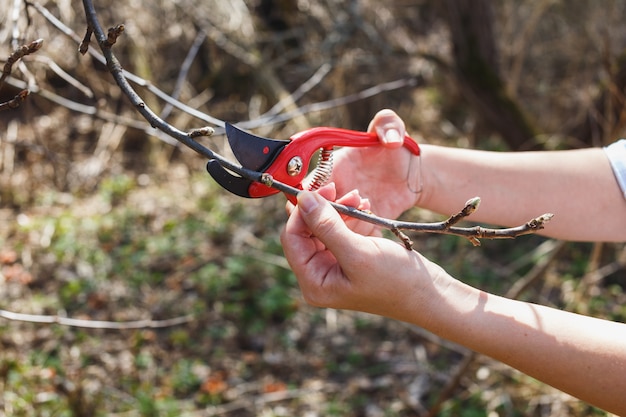 Jak naostrzyć piłę do krajzegi, aby uzyskać lepszą wydajność?