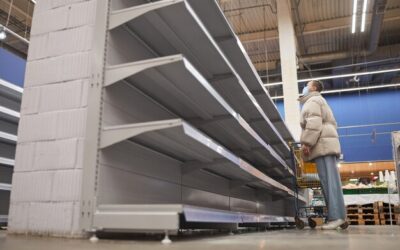 Jak zbudować halę z płyty warstwowej i o czym warto pamiętać?