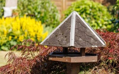 Jak zrobić altankę sześciokątną w ogrodzie?