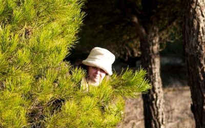 Sosna czy świerk na więźbę – które drewno sprawdzi się lepiej?