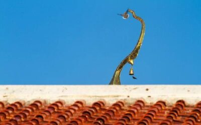 Jak obliczyć dach 2 spadowy w praktyce?