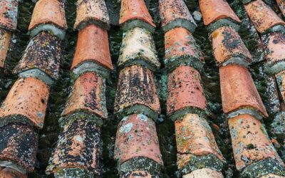 Ile kosztuje dachówka ceramiczna i od czego zależy cena?