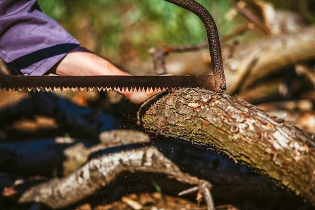 Jak naostrzyć tarcze do krajzegi bez użycia specjalistycznych narzędzi?