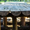 Ile kosztuje altana drewniana i od czego zależą ceny?