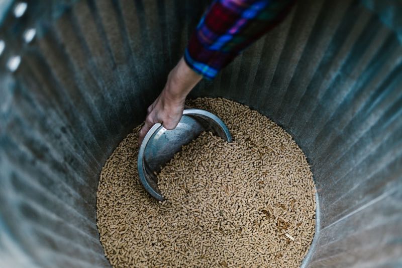 Maszyna do robienia peletu i paszy – praktyczne zastosowanie granulatorów w gospodarstwie