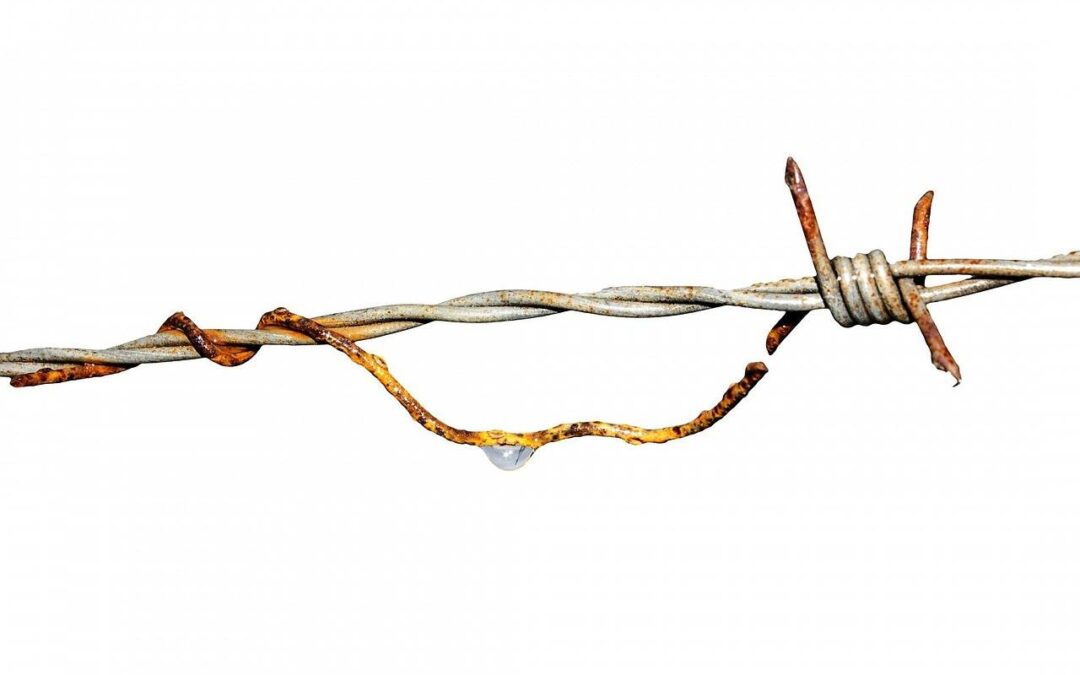 Czy stal damasceńska rdzewieje w codziennym użytkowaniu?
